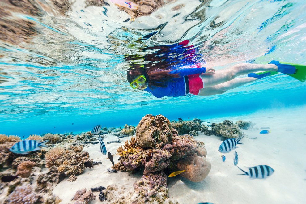 Boat Dives — Fun Diving