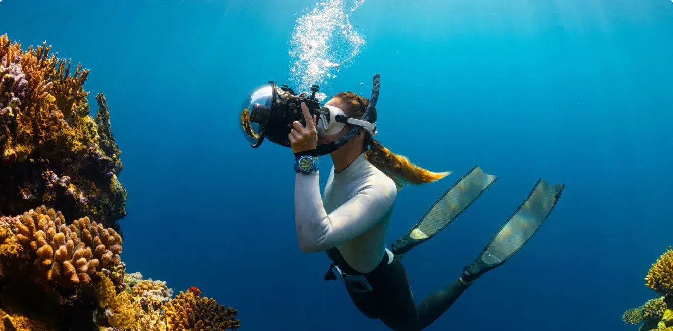 Daily Free Snorkeling Shuttle