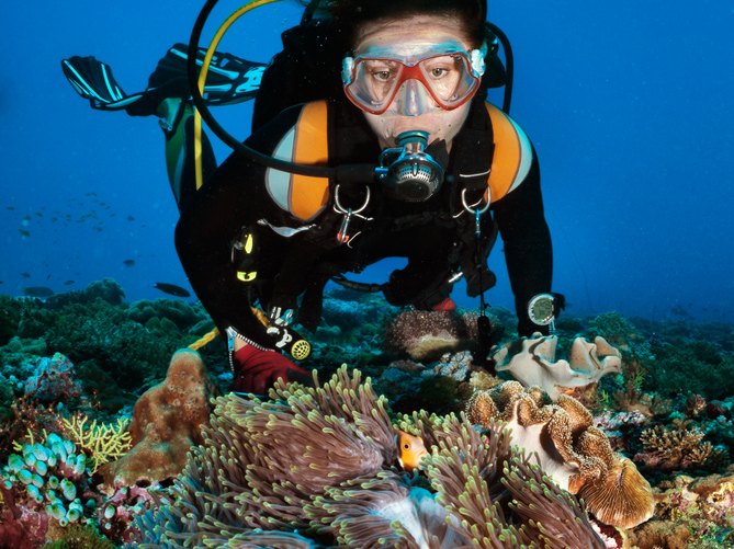 Dive Equipment & Extras
