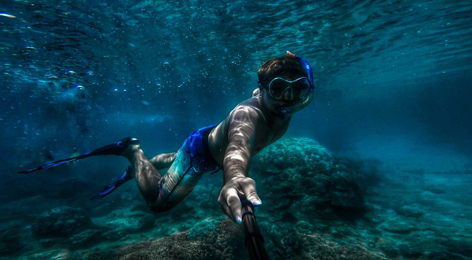 Night Snorkelling