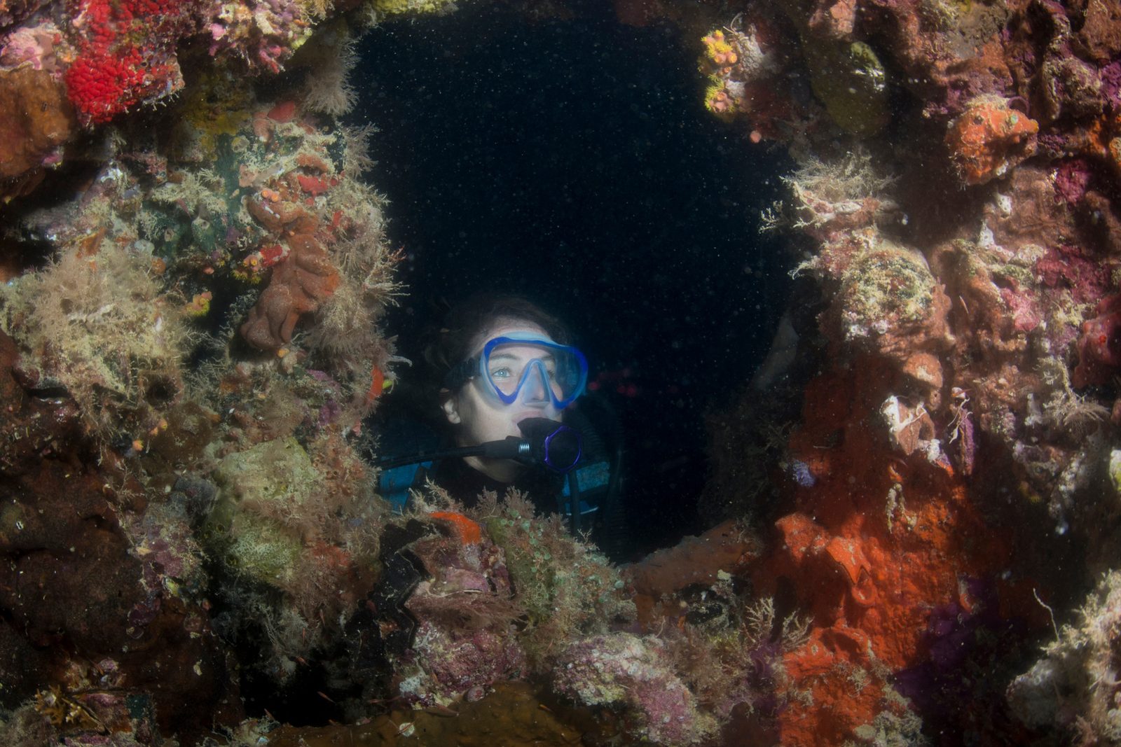PADI Advanced Open Water Diver