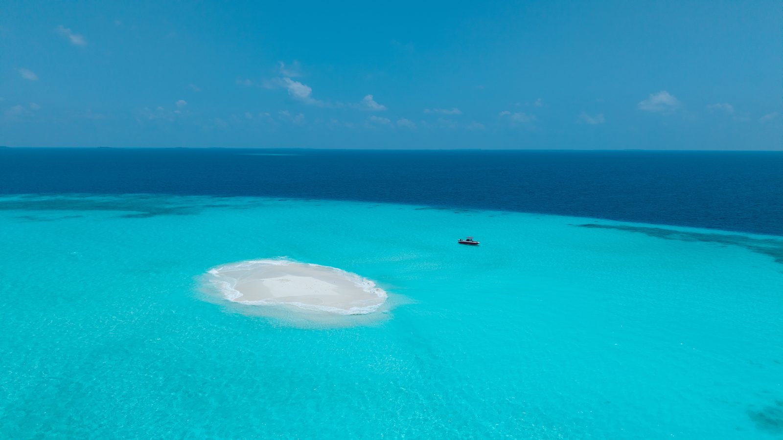 Sandbank & Snorkelling